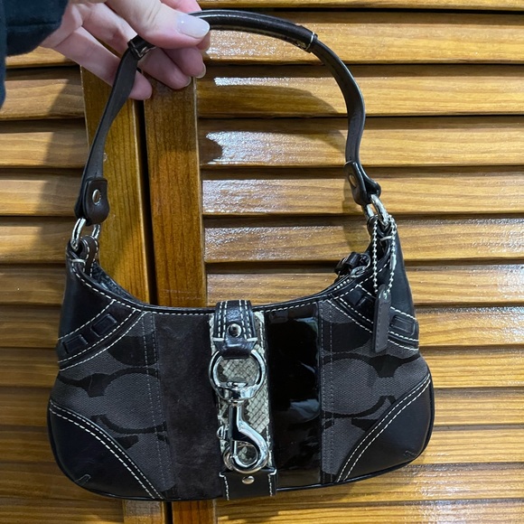 Coach Hampton signature striped Python Hobo Bag - Picture 1 of 2